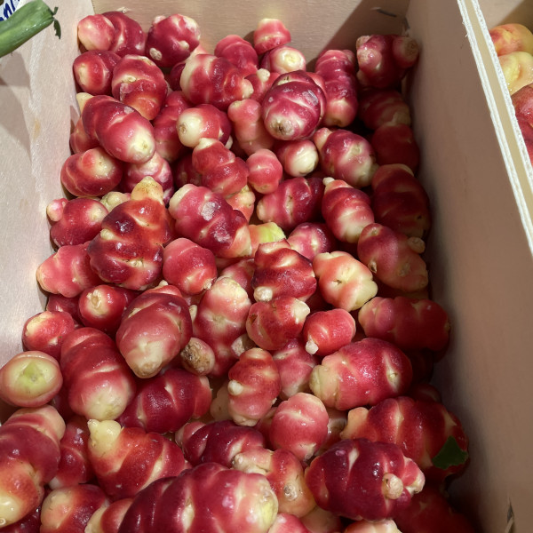 OCA du Pérou