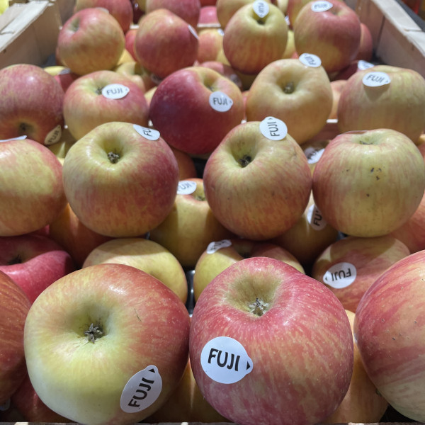 Pomme Fuji