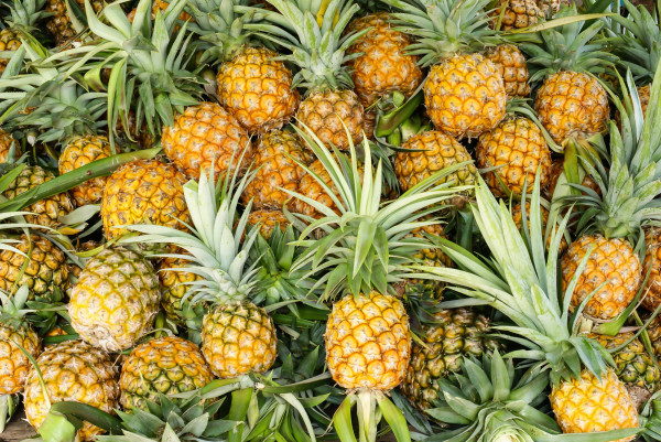 Ananas Bateau