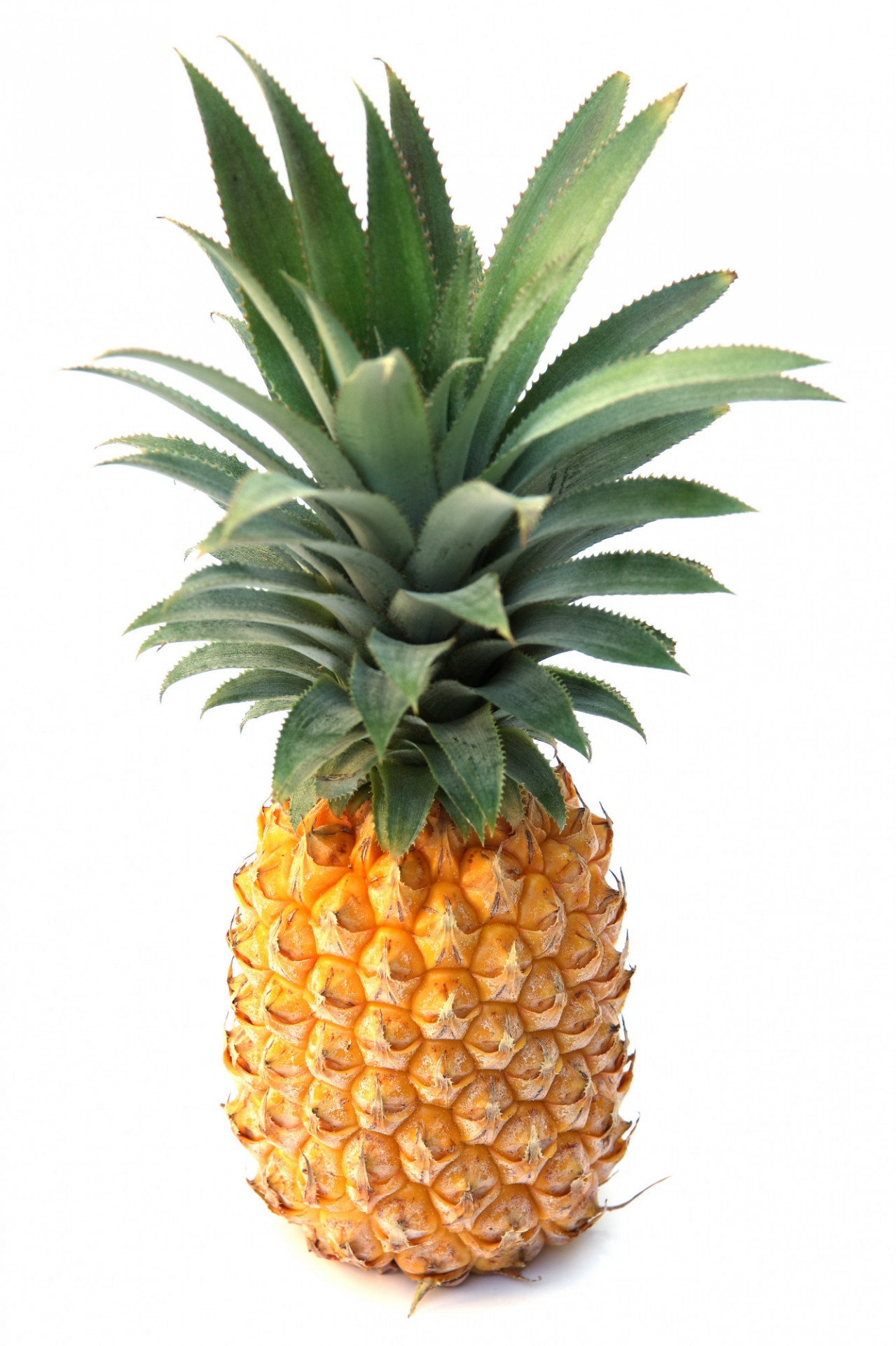 Ananas Victoria