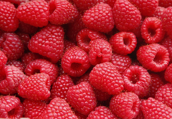 Framboise