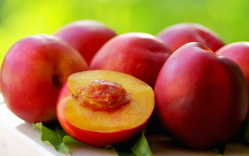 Nectarines