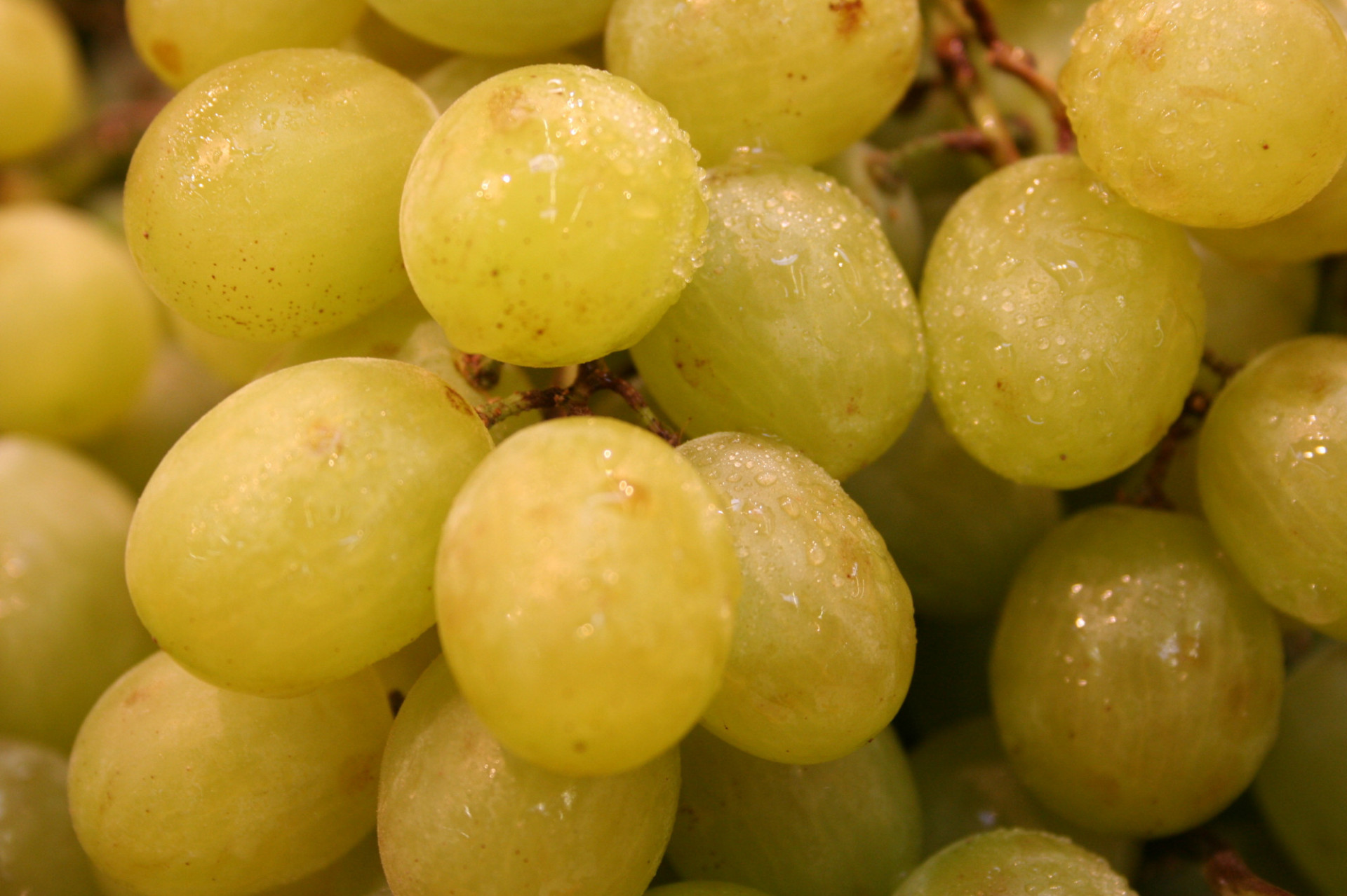 Raisin Blanc Chasselas