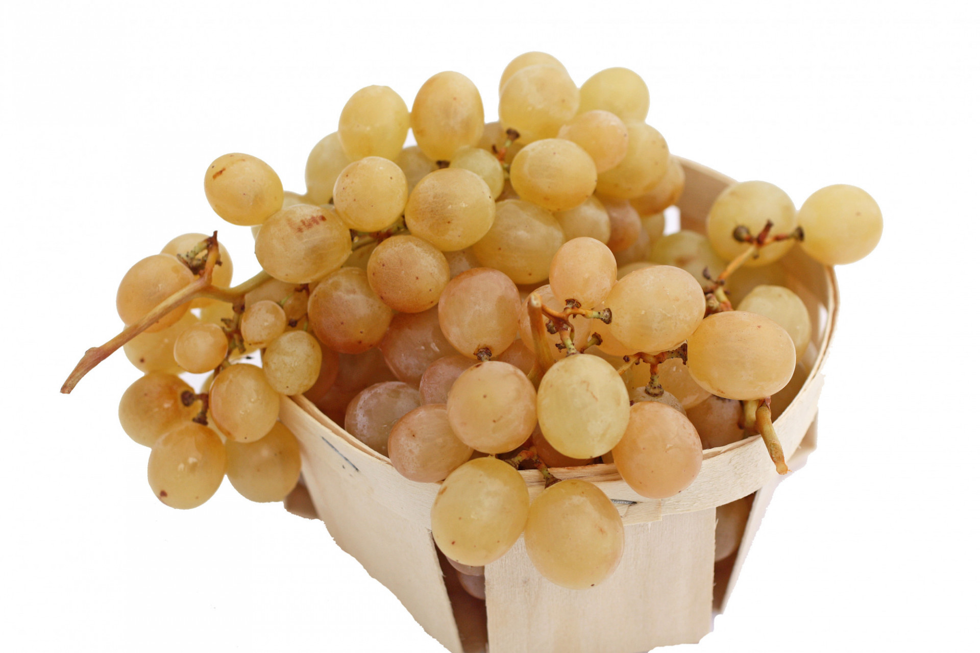 Raisin Blanc Chasselas