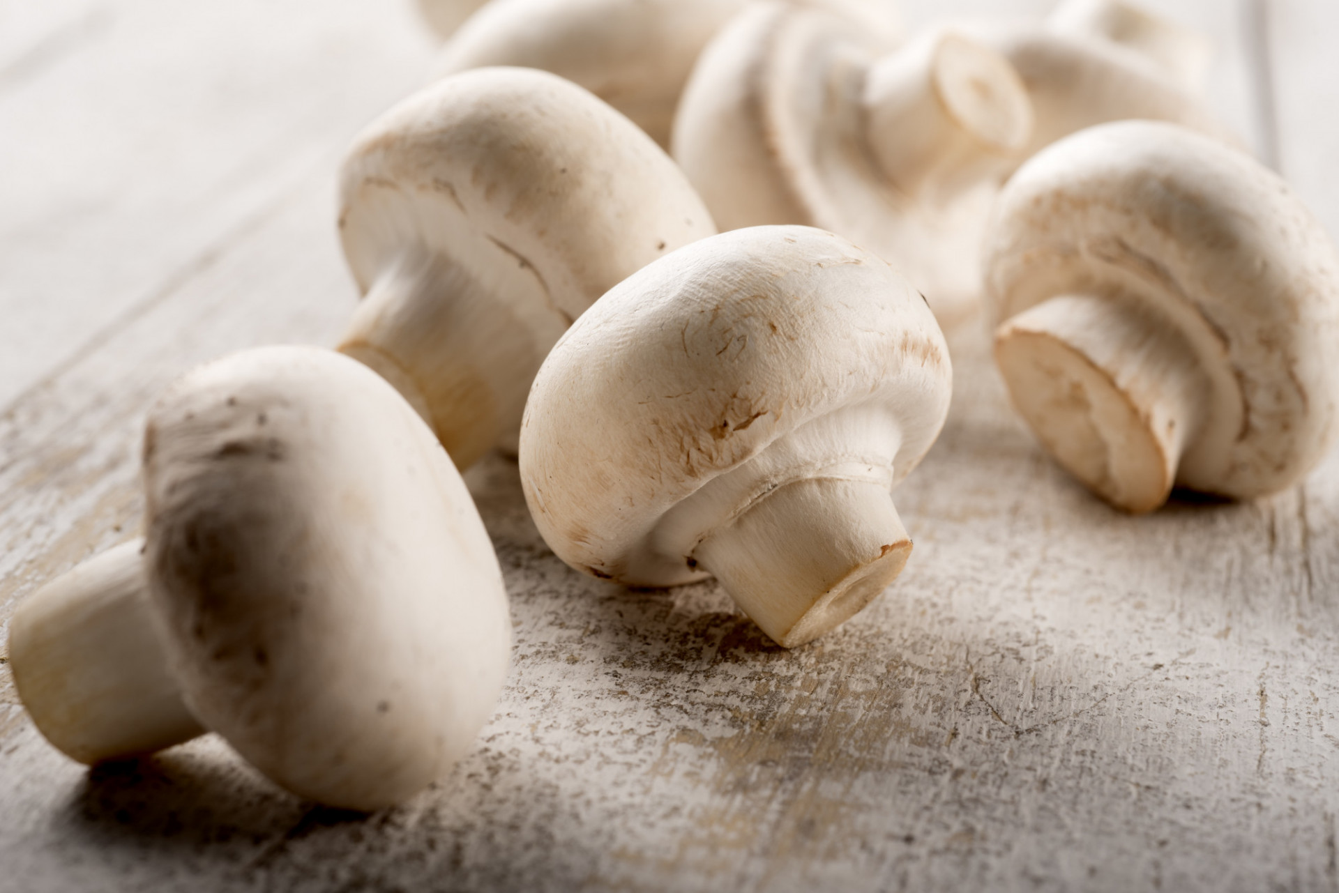 Champignons de Paris blanc Pieds coupés