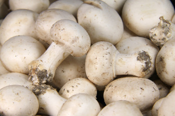 Champignons