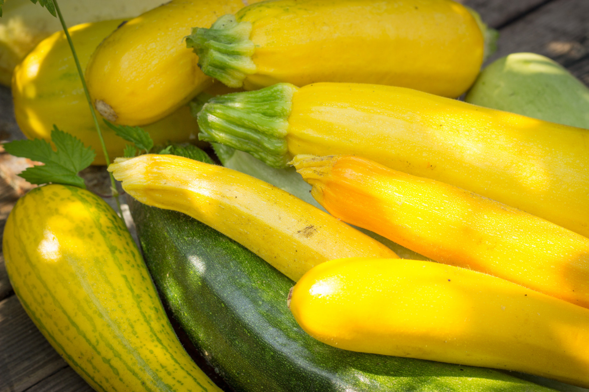 Courgette jaune