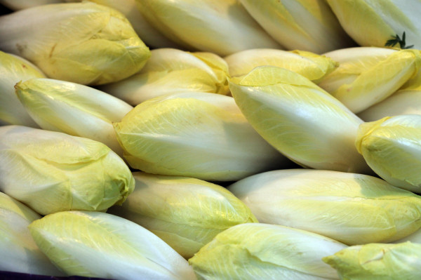 Endive