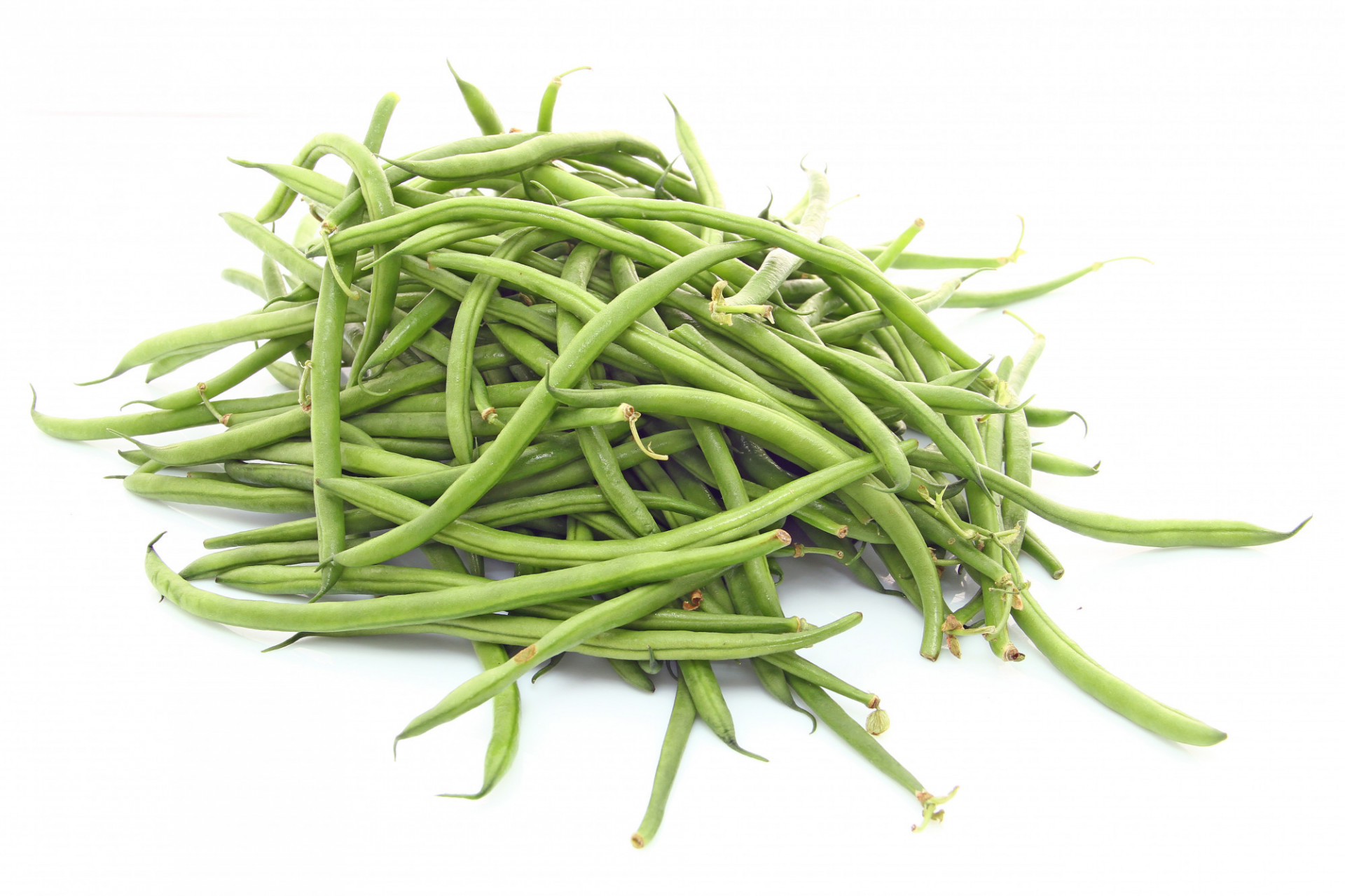 Haricot Vert Extra-Fin