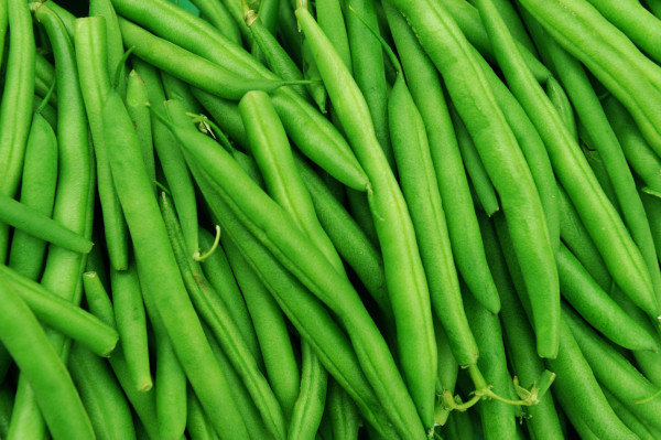 Haricot Vert