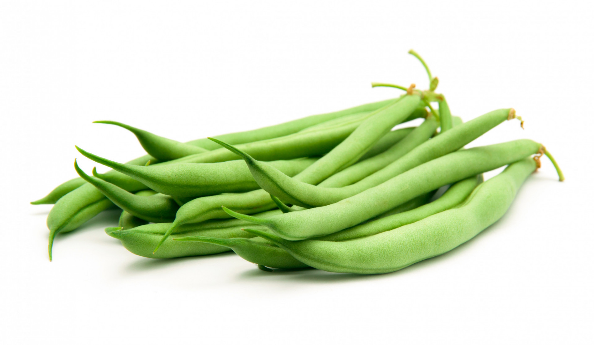 Haricot Vert