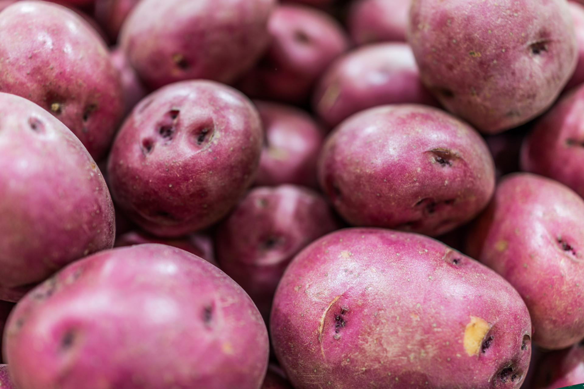 Pomme de Terre Chérie