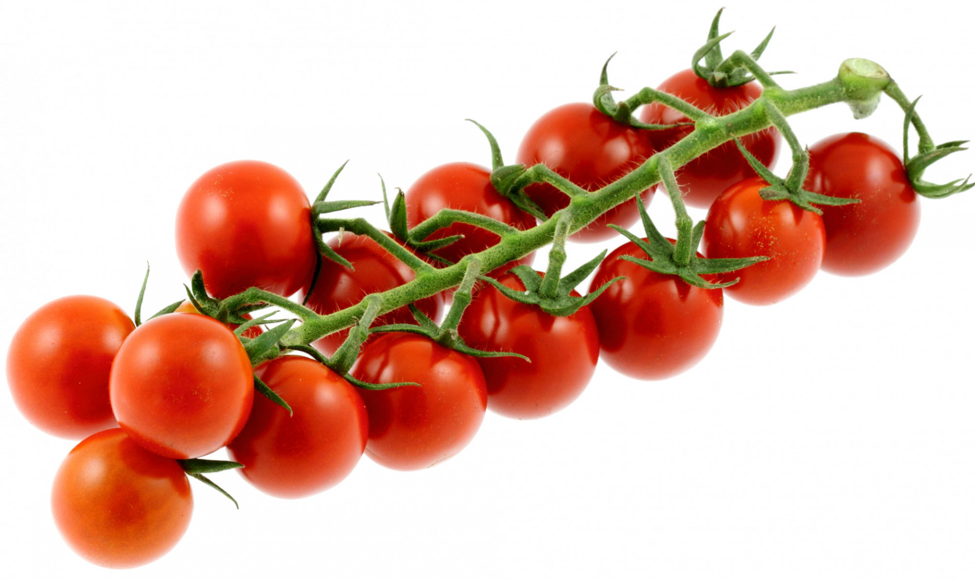 Tomate Cerise Grappe