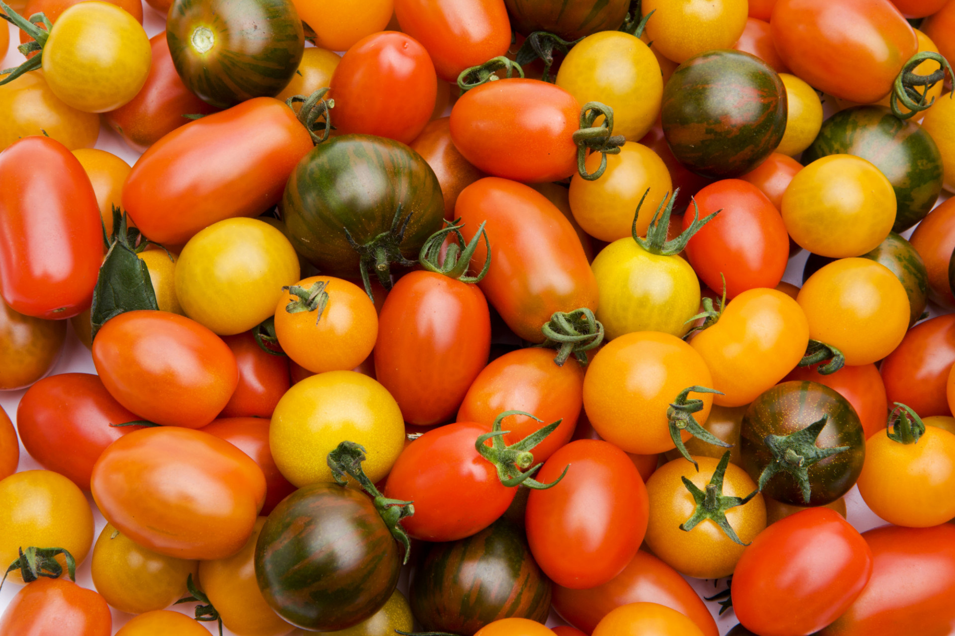 Tomate Cerise Méli-mélo de Couleur