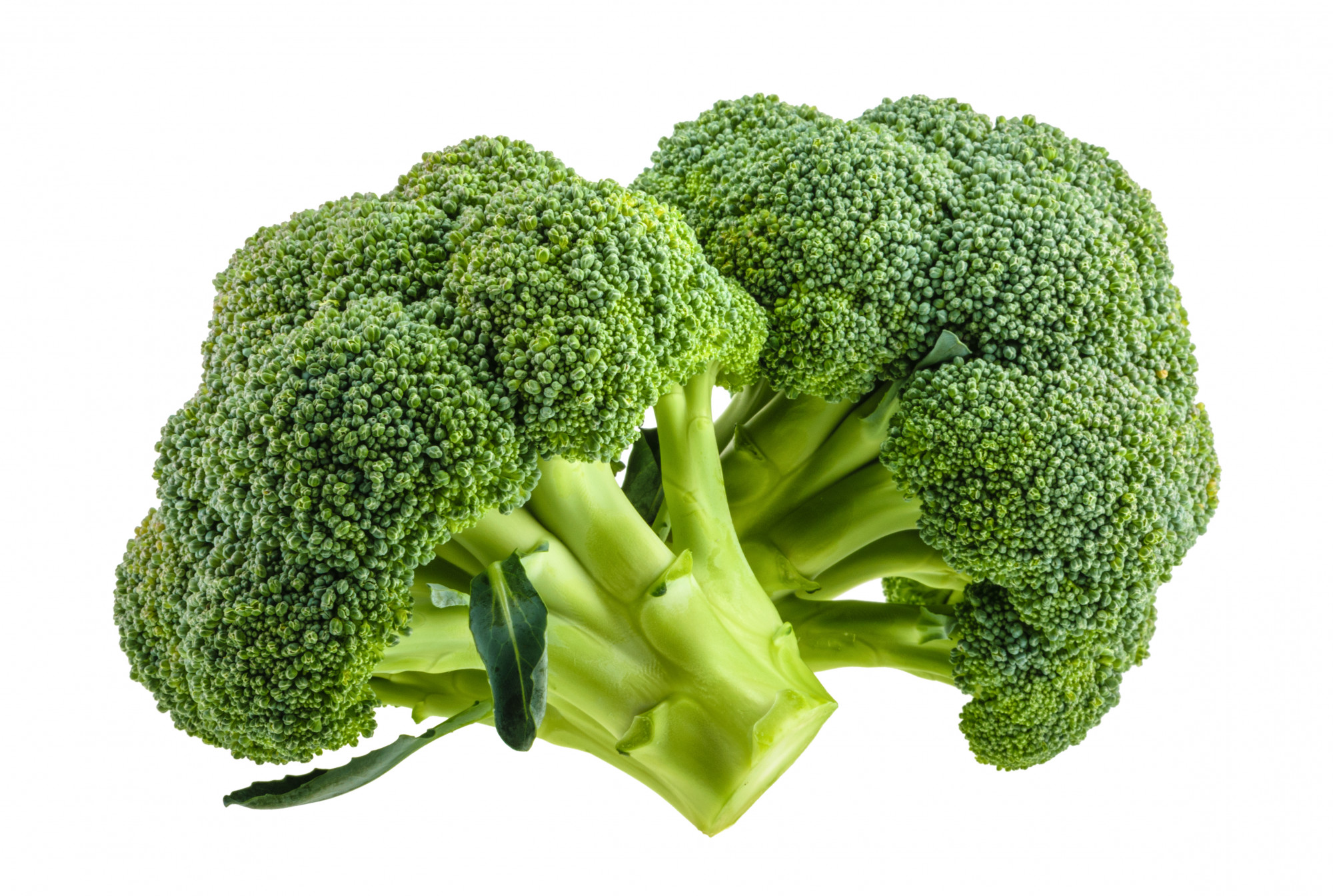 Brocoli